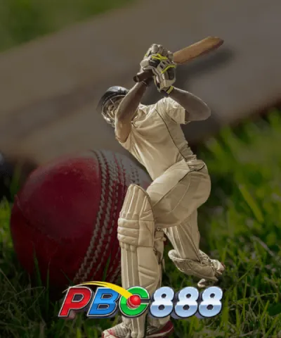 Exploring the Funs of 9wicket & PBC88 Co-Branded Cricket Betting Website
